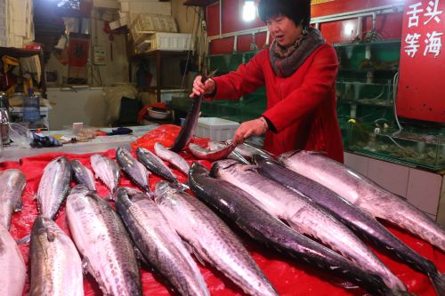 鲅魚價(jià)格小幅下跌01