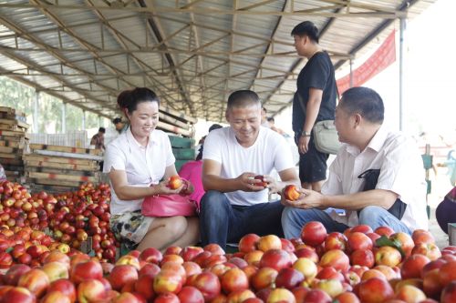 邮储银行青岛平度支行“顶酷暑，访农户”