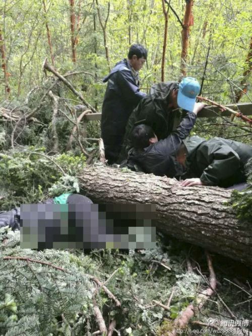 @文大章微博所附圖片顯示，穿著綠色雨衣的工作人員，正在救援被倒掉大樹壓著的游客。