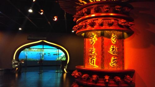 IMG_20160606_135100_副本