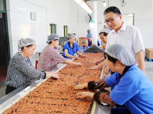 1-平度宋平+文内增加该图：图注-宋平到企业厂房调研