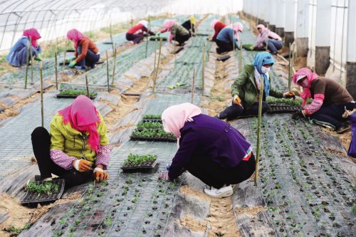 昌盛日電助&ldquo;移民村&rdquo;脫貧就業(yè) 