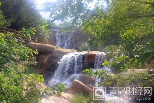 綠樹清水