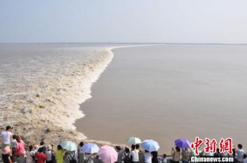 錢塘大潮景象。　鹽官景區(qū)供圖　攝