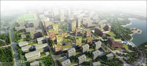 青岛：国际ISO大会唯一发言城市