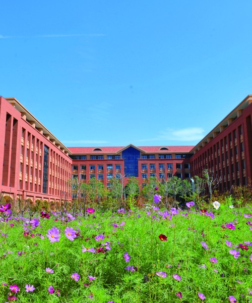 山大六大学院明年搬到青岛校区 躺在草坪上，就能听课