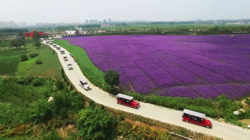 西海岸生态观光园 西海岸发展集团供图