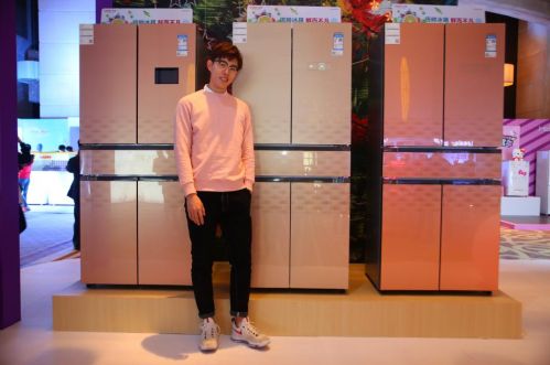 統帥中字格局冰箱