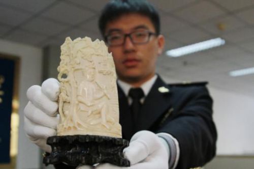 海關關員展示查獲象牙雕刻件 蔣友運攝