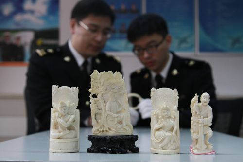 青島海關在郵寄渠道查獲象牙雕刻件 蔣友運攝
