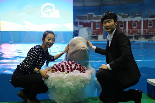 3.中國羽毛球名將沈燁曾于極地浪漫求婚