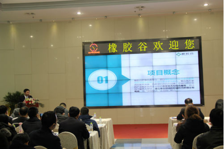 橡膠谷攜手eBay 打造輪胎跨境電商項目 446