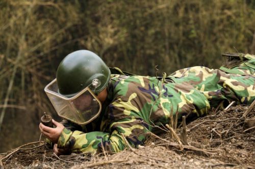 d659f7e427444a1da8dae848dd12c737