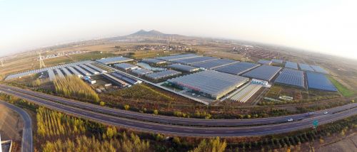 mmexport1497514858899 (1)