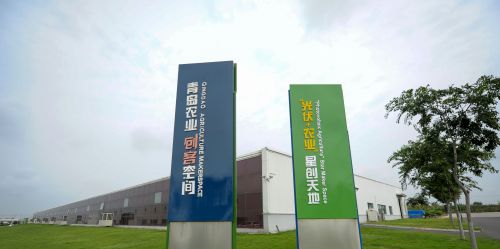 mmexport1497514950632