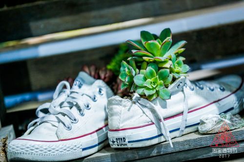 vbox4017__G5I5048_171140_small