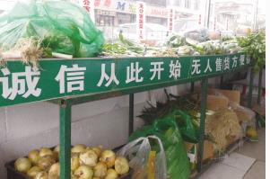 1121297427_14997325839511n