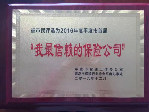 平度支公司照片2