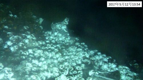 2017年5月12日系統(tǒng)獲得的影像資料