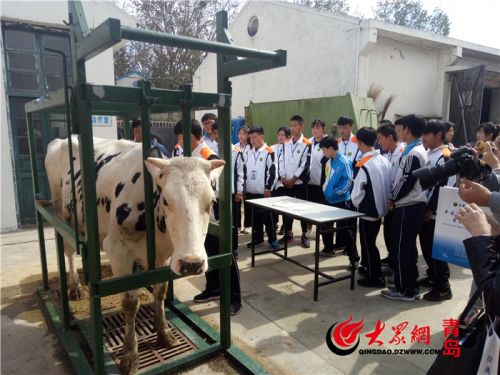 点击浏览下一张