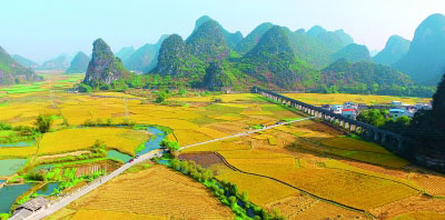 【領(lǐng)航新征程】讓黨的十九大精神在基層落地生根