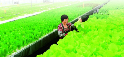 【領(lǐng)航新征程】讓黨的十九大精神在基層落地生根