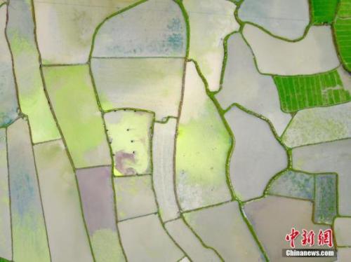 點(diǎn)擊進(jìn)入下一頁