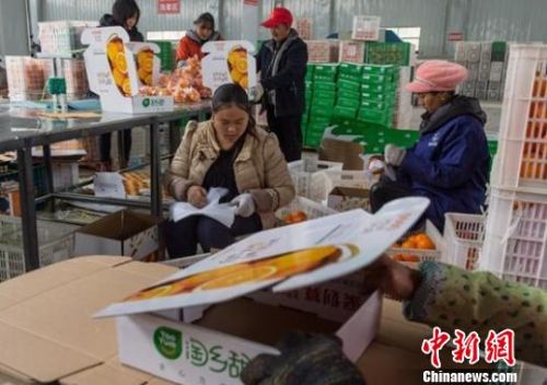 農村淘寶年銷售超千億電商扶貧助力鄉村振興