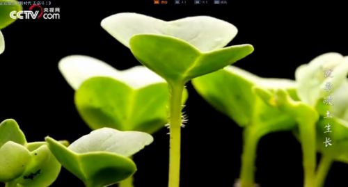 QQ截圖20180321101752