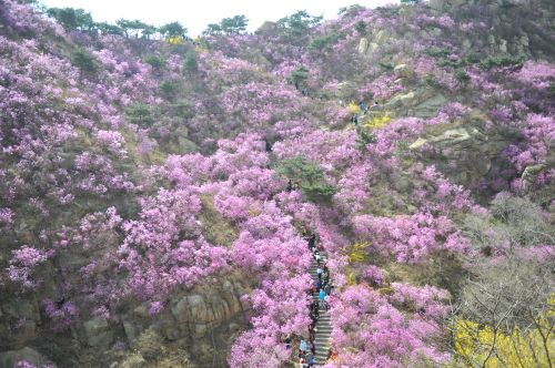 大珠山花會(huì) 俞方平攝影1