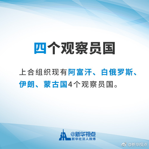 654b47daly1frrw74vd25j20dw0dwjtr