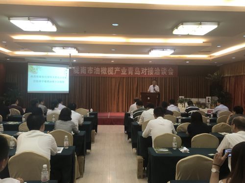 隴南市油橄欖產業青島對接洽談召開