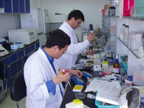 7.24動(dòng)衛(wèi)中心現(xiàn)有實(shí)驗(yàn)室