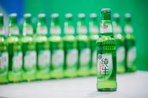 配圖7：青島純生