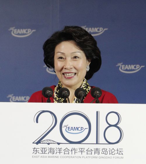 正大制药集团总裁、香港“一带一路”总商会理事会会长郑翔玲   影像西海岸  董方伟摄影