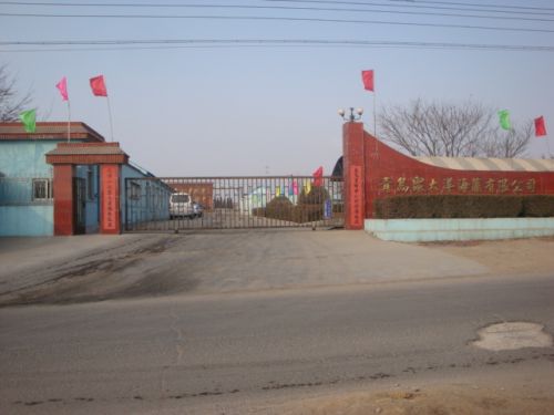 聚大洋創業伊始