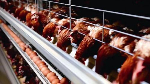 微信圖片_20181203155203