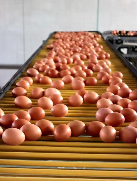 微信圖片_20181203155200