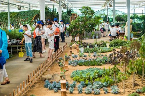 5576c3d2e2695adc0b8d97407d55274