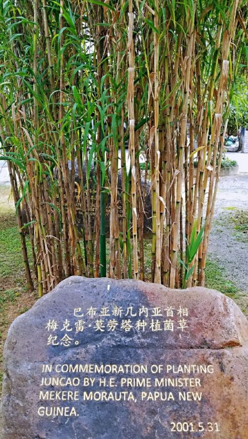 1123959336_15469063864401n