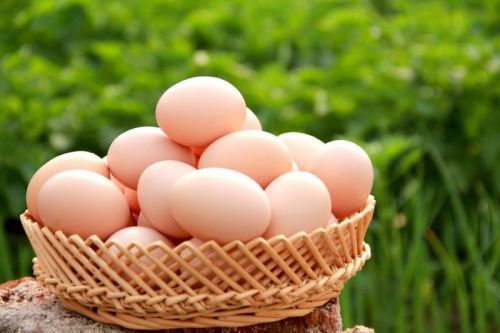 微信圖片_20190124124655