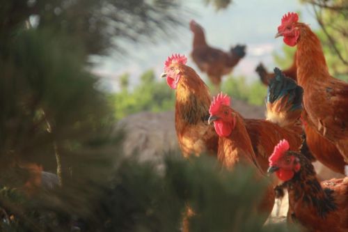 微信圖片_20190124124645