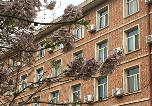 QQ截圖20190607110005