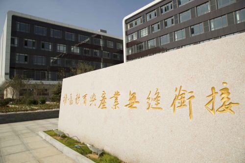 361560142717_.pic_hd