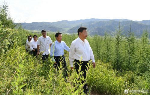 1124758532_15632434136951n