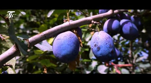 360截圖20190827134640977