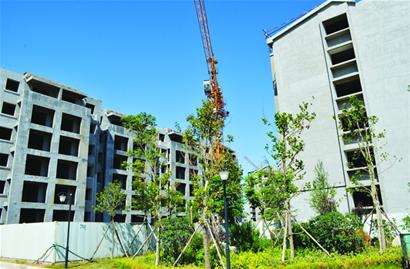 青島,白沙灣,配套 青島,白沙灣,配套