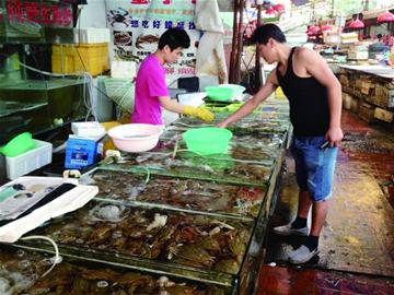 螃蟹上市價格持續走低