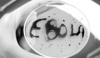 埃博拉新藥進行動物實驗“百分之百有效” 