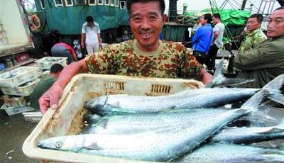 大船出海 一趟賺萬元